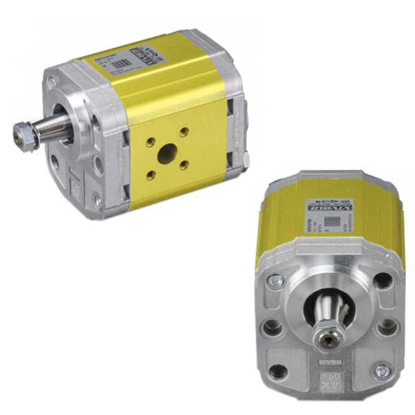 Industriepumpen ViVoil BG2