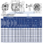 Preview: Hydraulikpumpe ViVoil - BG2 - 10,8ccm - Ø 50mm - Welle konisch 1:5 - Ölanschlüsse BOSCH Flansch - linksdrehend