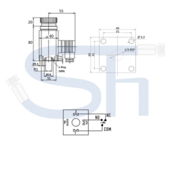 Druckschalter R 1/4" - 5-100 Bar einstellbar - Wechsler