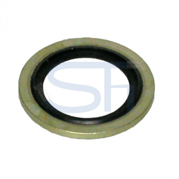 Dichtring R 1/8"