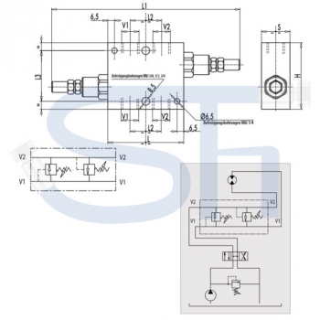 Schockventil R 1/2" 10 - 180 BAR - doppeltwirkend