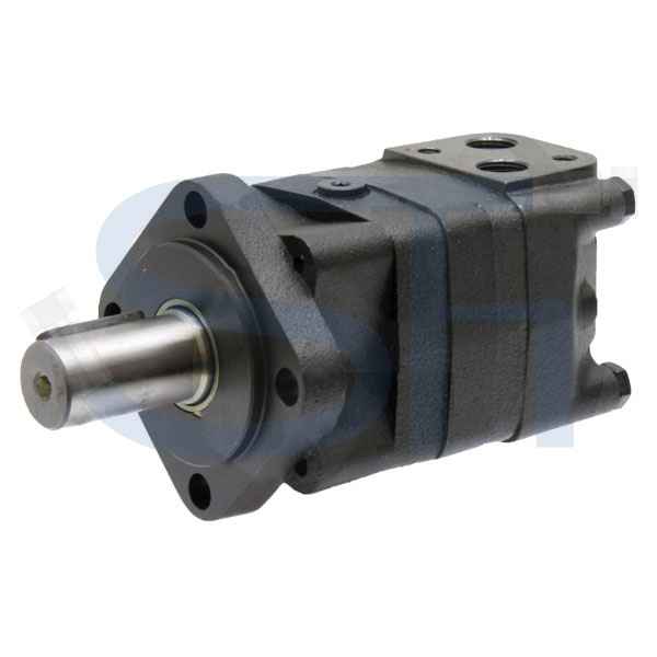 Ölmotor BMS 100ccm