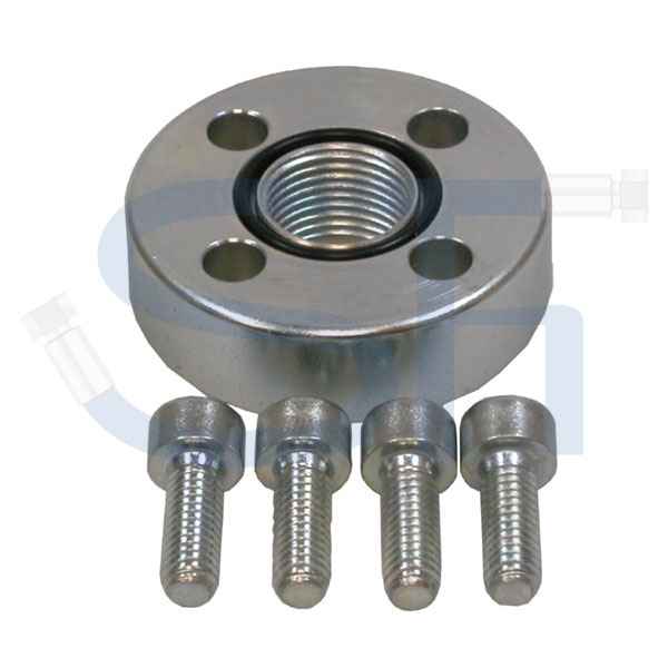 Gerade Flanschverschraubung R 1 1/4"