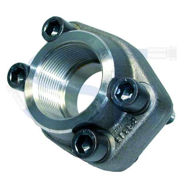Gerade Flanschverschraubung SAE 6000 PSI - R 1 1/2" - R 1 1/2" IG