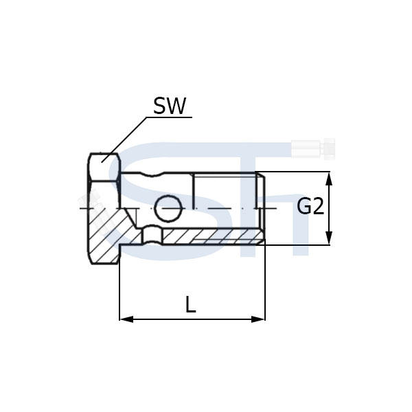 Hohlschraube R 1/4"