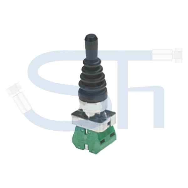 Joystick mit 2 Funktionen - 2 x Raste